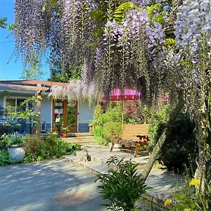 Guest house Wisteria ***